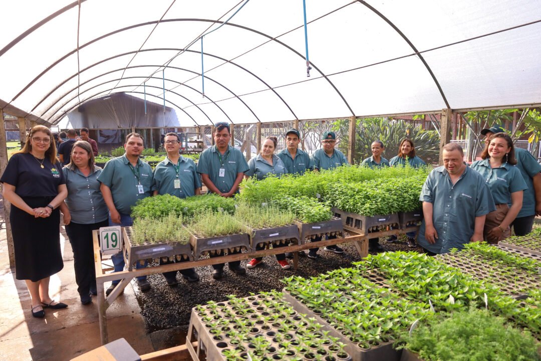 Prefeitura recebe 1,5 mil mudas de essências aromáticas para implantação de jardins sensoriais nos Cmeis