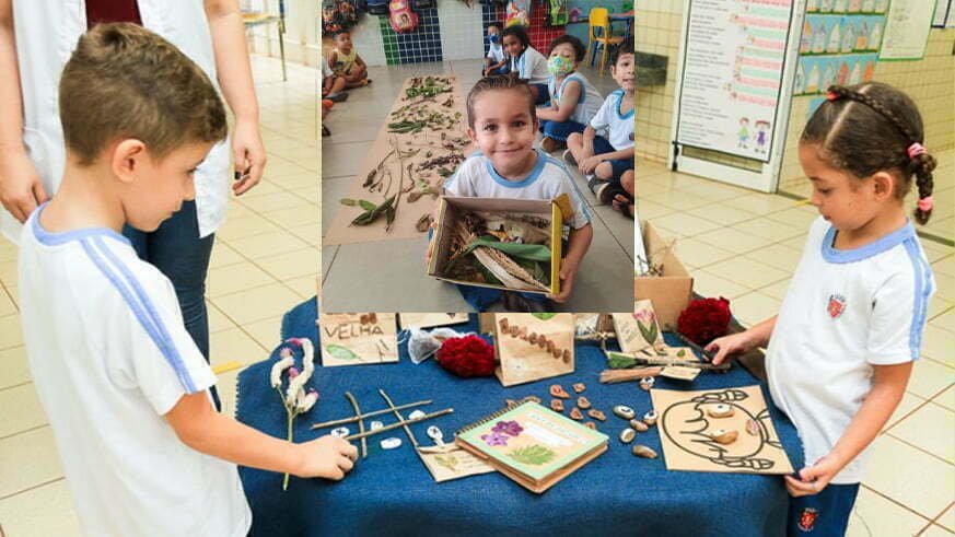 educação climática