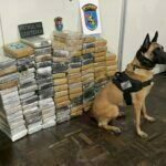 Polícia Militar apreende mais de 140 quilos de cocaína