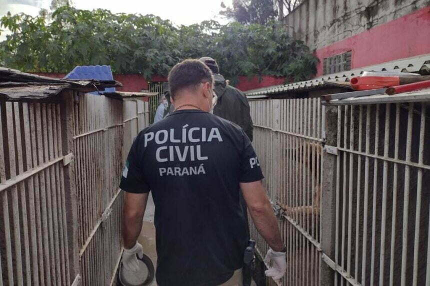 PCPR salva 300 cães na maior ação de resgate animal da história do Paraná
