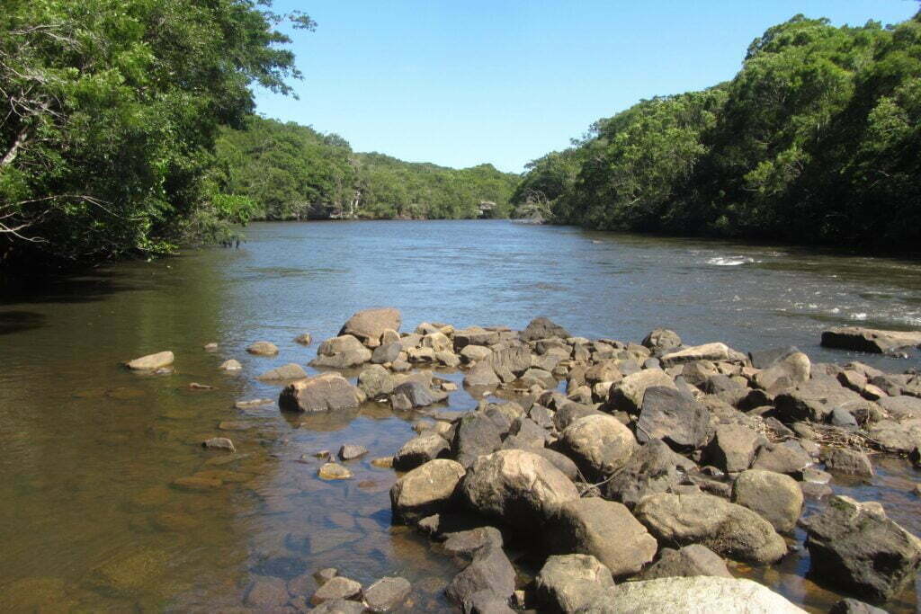 Como forma de celebrar o Dia Nacional das Reservas Particulares do Patrimônio Natural (RPPNs) e ampliar a conscientização ambiental, o Governo do Estado, por meio do Instituto Água e Terra (IAT), lançou nesta terça-feira (31) a Cartilha de Apoio para Implantação do Programa de Pagamento por Serviços Ambientais Municipais (PSAM).