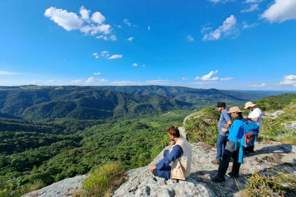 Expedição encontra três plantas ameaçadas de extinção