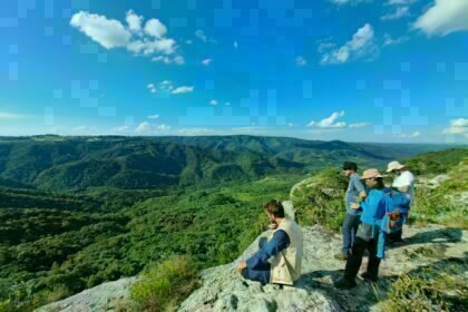 Expedição encontra três plantas ameaçadas de extinção