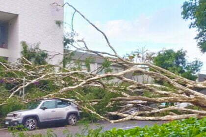 Temporal em Maringá; 230 servidores municipais estão nas ruas realizando limpeza e desobstrução das vias, 15 mil imóveis estão sem energia elétrica
