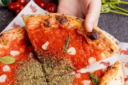 Franquia Jacaré Vermelho aposta em alto crescimento em 2023