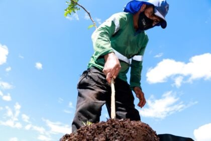 Prefeitura lança projeto ′Pomar Urbano′ nesta terça-feira, 7, com implantação da primeira unidade e uma composteira em escola municipal