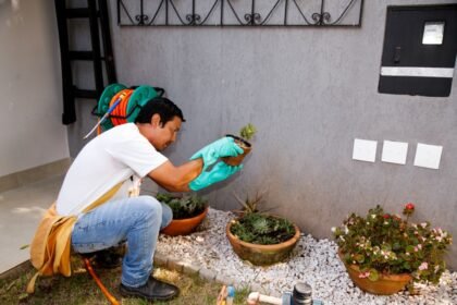 Maringá segue com mutirão de combate à dengue neste sábado, 4