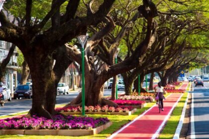 Maringá é reconhecida pela segunda vez como ′Cidade Árvore do Mundo′