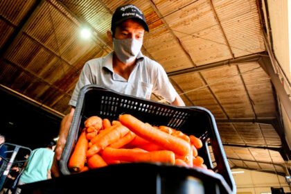Prefeitura abre inscrições para o curso gratuito de boas práticas de manipulação de alimentos nesta quarta, 10