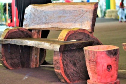 Prefeitura vai transformar galhos e troncos de árvores em bancos e mesas para praças