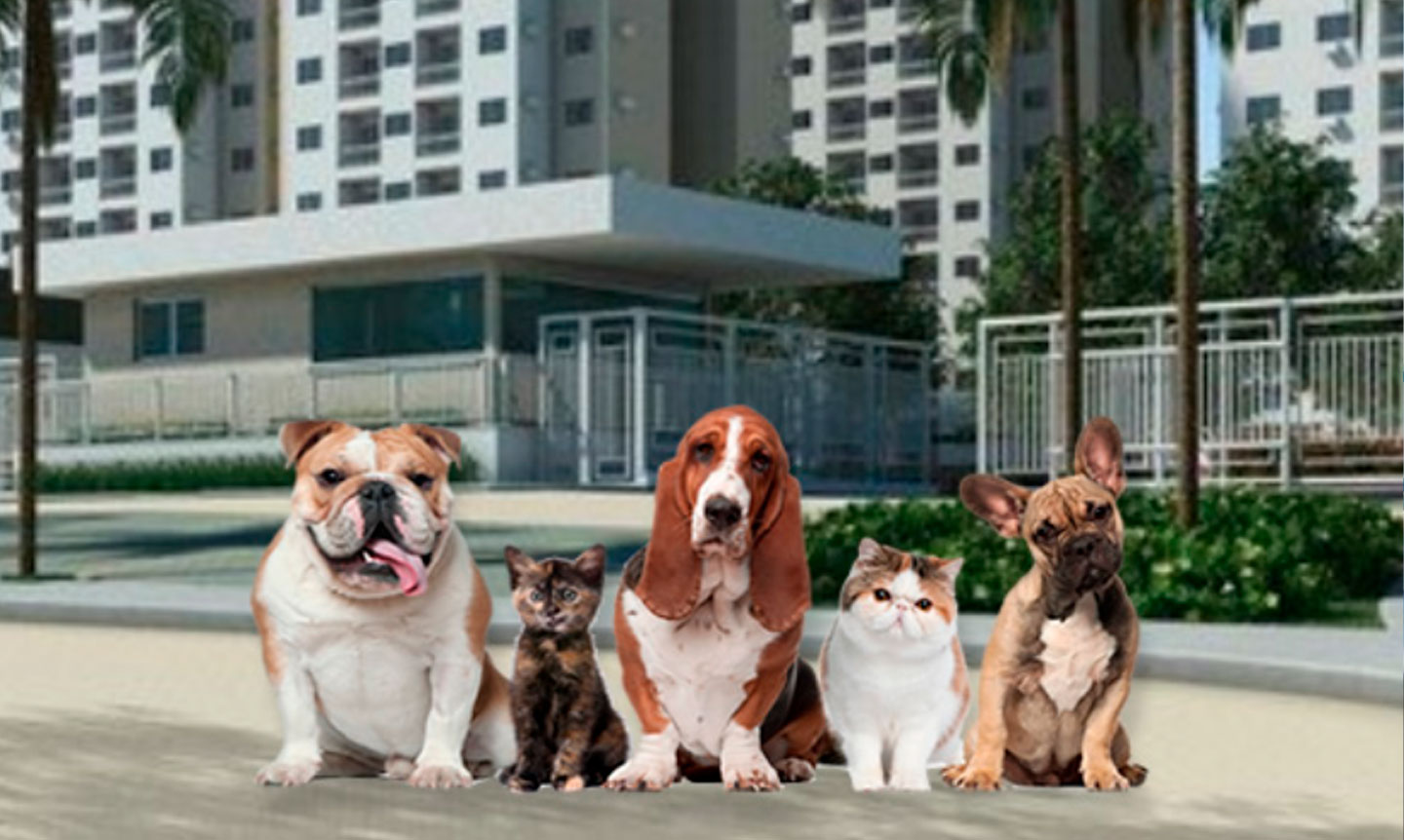 Comissão no Senado aprova projeto que obriga síndicos de condomínios a denunciarem maus-tratos de animais