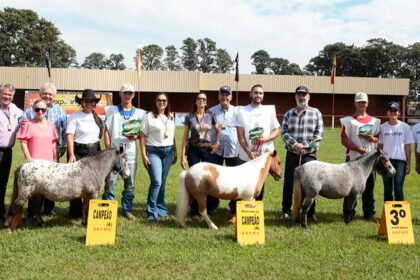 Mostra de Mini-Horse engrandece primeiro fim de semana da Expoingá 2023