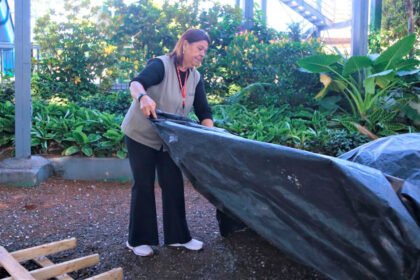 Maringá realiza mutirão de combate à dengue nos bairros neste sábado, 13