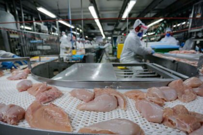 Paraná bate recorde! Exportações de carnes in natura disparam 20,8% e atingem US$ 1,56 bilhão em 2025. Destaque para carne de frango, suína e bovina. Confira os principais destinos e o panorama do comércio exterior paranaense.
