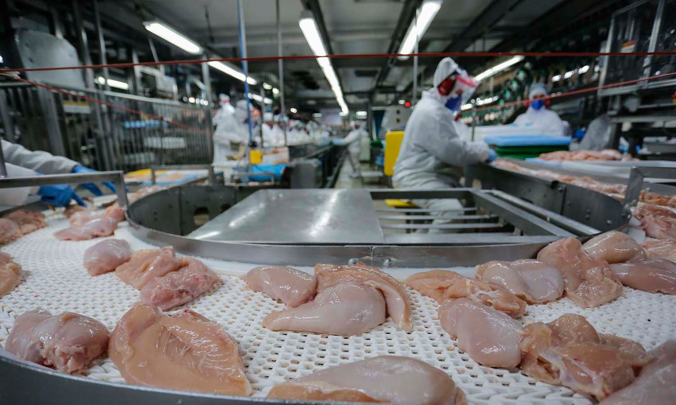 Paraná bate recorde! Exportações de carnes in natura disparam 20,8% e atingem US$ 1,56 bilhão em 2025. Destaque para carne de frango, suína e bovina. Confira os principais destinos e o panorama do comércio exterior paranaense.