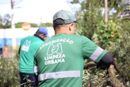 Prefeitura orienta que serviços de arborização são realizados apenas pela Secretaria de Limpeza Urbana