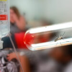 Morte-por-dengue
