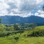 Fazenda Santa Vitória recebe segunda edição do circuito de obras de arte