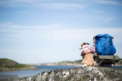 Viajar com animais de estimação exige planejamento