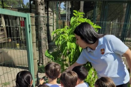 Dicas podem incentivar a consciência ambiental nas crianças
