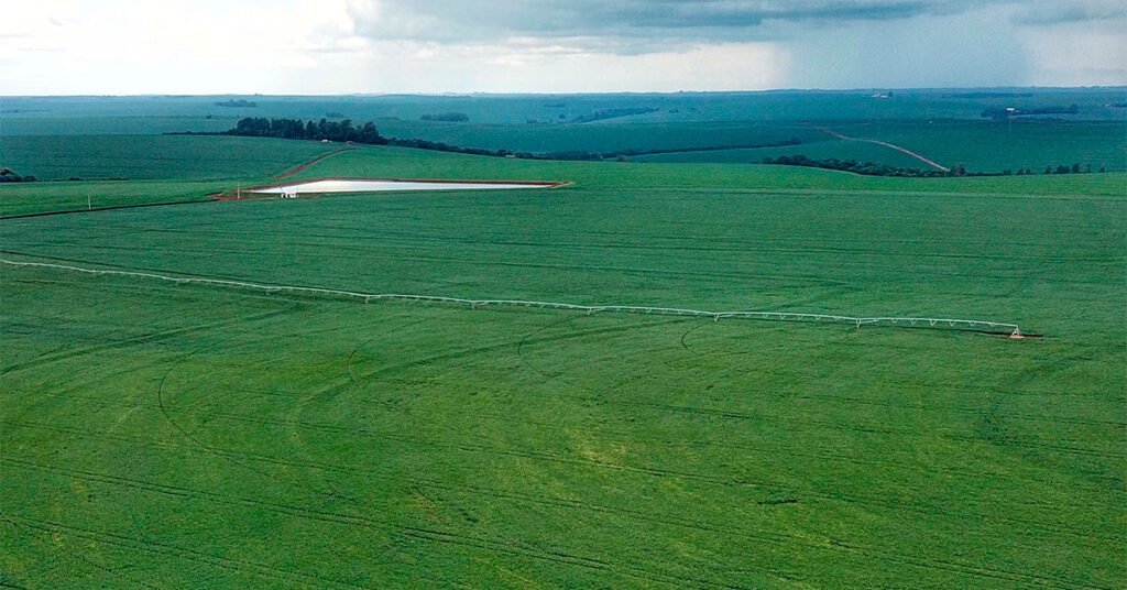 El Niño: IDR-Paraná alerta produtores de milho e cereais de inverno sobre o fenômeno