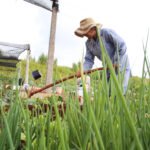 Semana do Agricultor 2023