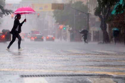 Com a chegada de chuvas mais intensas durante esta semana no Paraná, Sesa alerta para cuidados contra a leptospirose