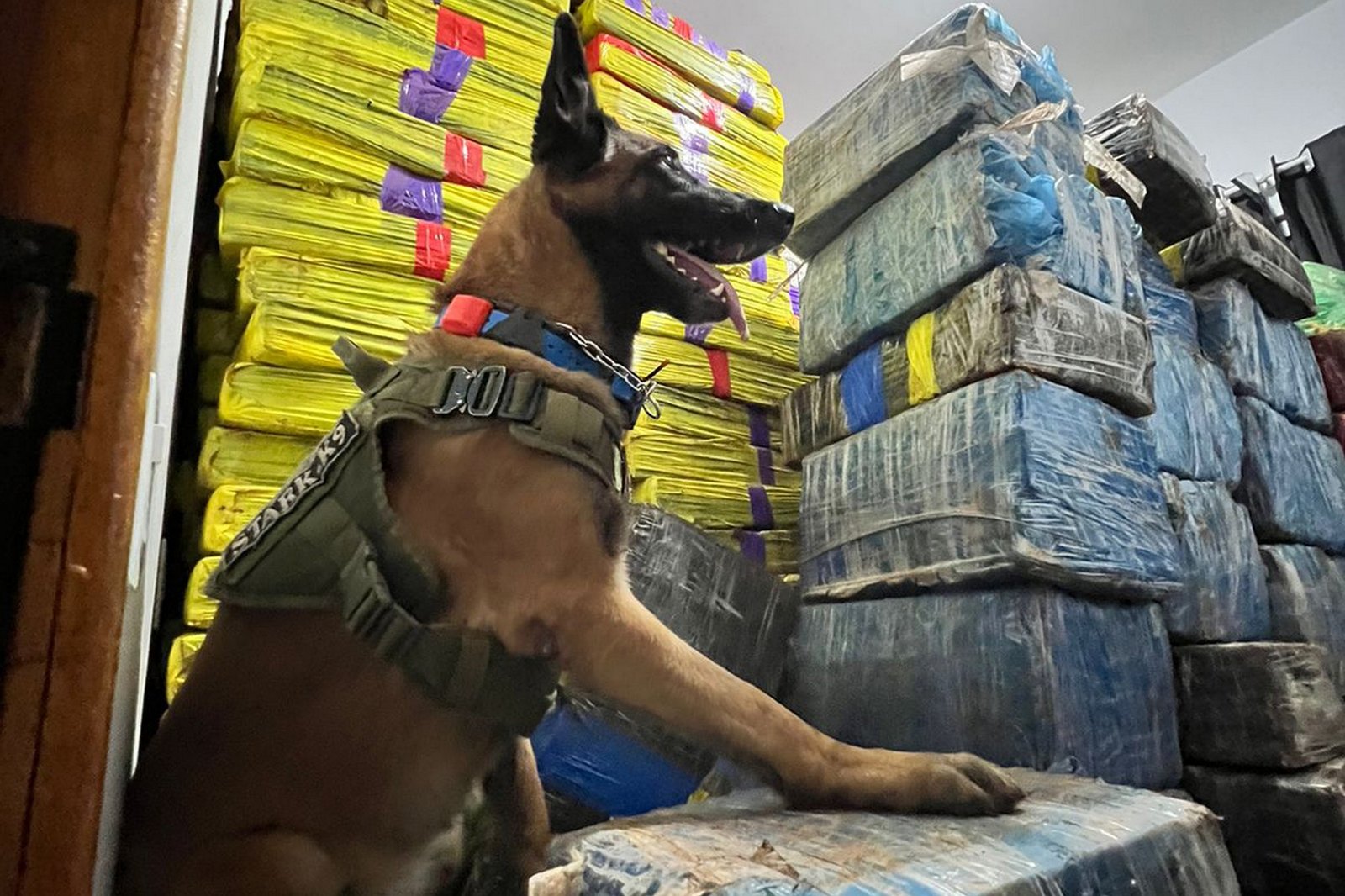 4 toneladas de maconha foram apreendidas pela Polícia Militar em Pato Bragado