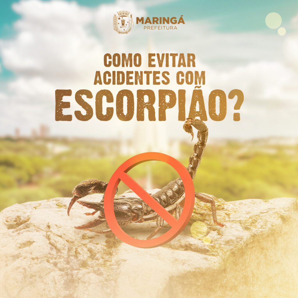 campanha para prevenção de acidentes com escorpiões