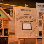 Alunos da rede municipal criam ′hotéis de insetos′ e desenvolvem aprendizado significativo sobre temática animal