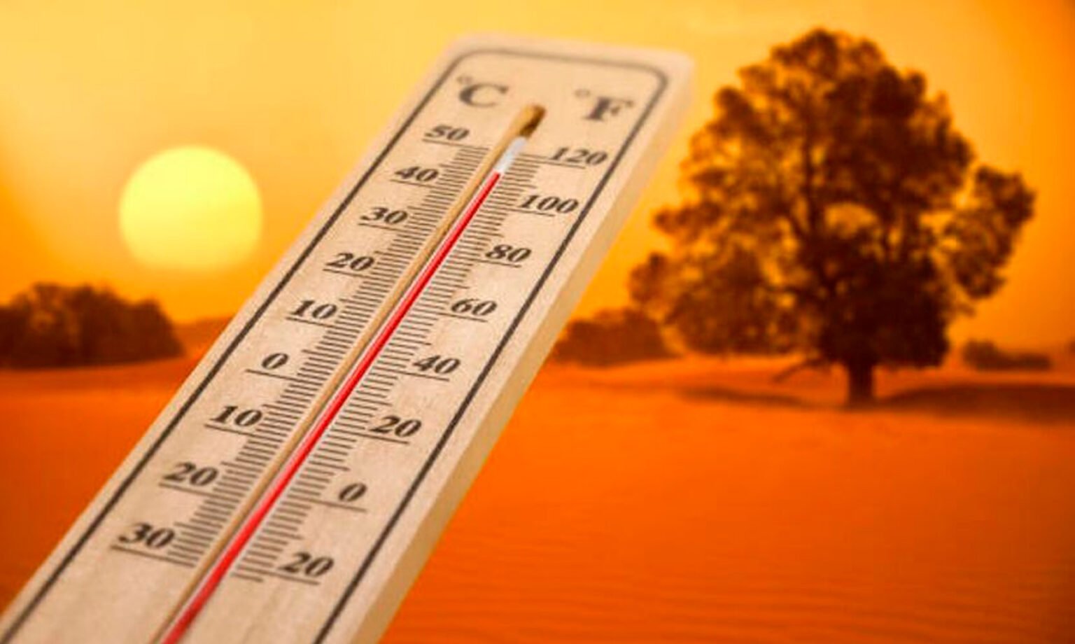 ondas de calor, sol, termômetro, temperaturas