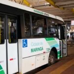 Transporte Coletivo de Maringá, ônibus da TCCC