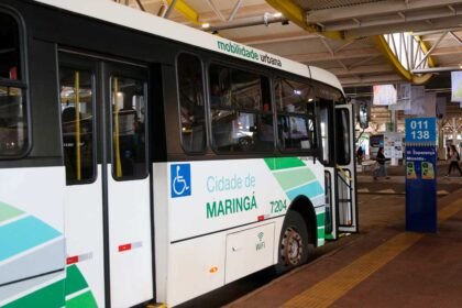 Transporte Coletivo de Maringá, ônibus da TCCC