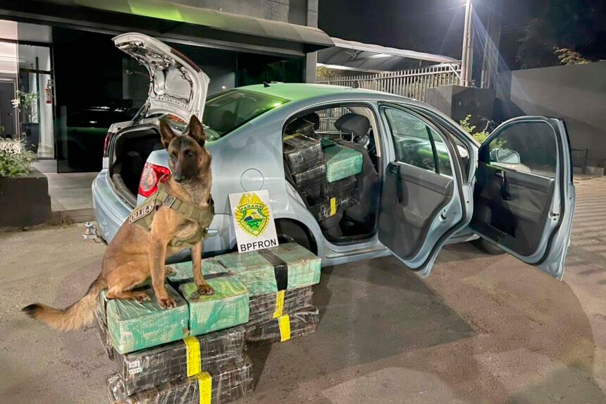 maconha