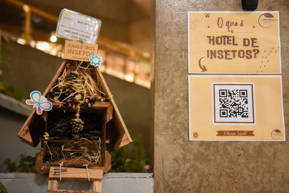 Alunos da rede municipal criam ′hotéis de insetos′ e desenvolvem aprendizado significativo sobre temática animal