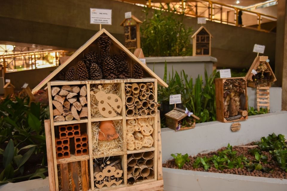 Alunos da rede municipal criam ′hotéis de insetos′ e desenvolvem aprendizado significativo sobre temática animal