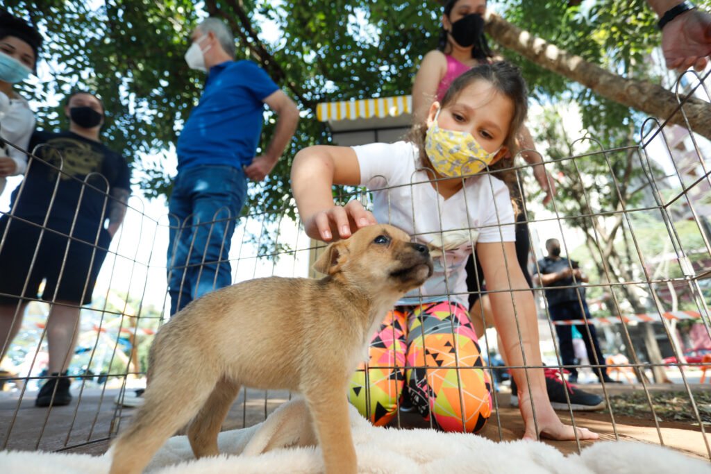 Adoções de pets crescem 24% em um ano