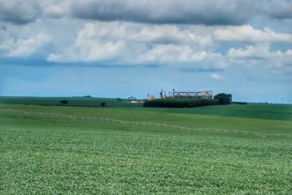 PIB do Paraná cresce 8,6% no primeiro semestre, mais que o dobro da média nacional