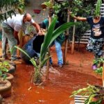 Sesa abre inscrições para curso de formação de agentes de combate às endemias