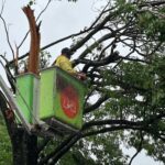 A Copel realiza o desligamento da energia para o trabalho das equipes de arborização. Na sequência, a Copel restabelece a energia da via pública e, só depois, a Seinfra atua no restabelecimento do padrão de energia.