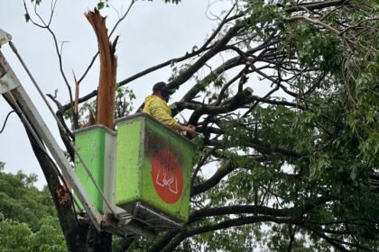 A Copel realiza o desligamento da energia para o trabalho das equipes de arborização. Na sequência, a Copel restabelece a energia da via pública e, só depois, a Seinfra atua no restabelecimento do padrão de energia.