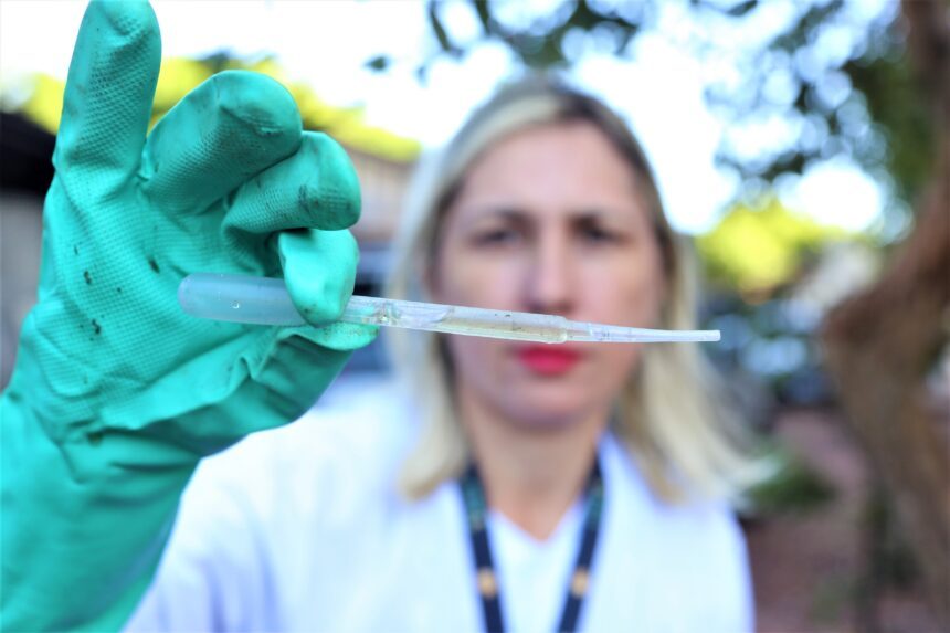 4º Levantamento do Índice de Infestação do Aedes Aegypti (Lira) de 2023