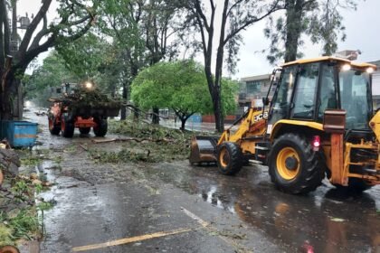 Prefeitura coloca mais de 250 servidores nas ruas, em mutirão para desobstrução de vias após temporal; telefone 156 está ativo