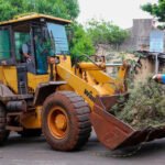 Recolhendo galhos e troncos de árvores
