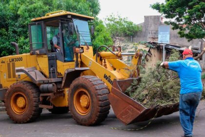 Recolhendo galhos e troncos de árvores