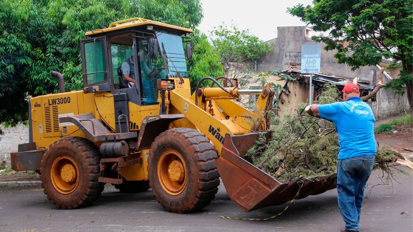 Recolhendo galhos e troncos de árvores