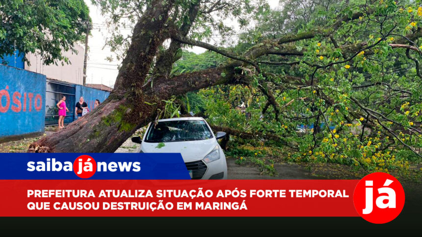 Prefeitura atualiza situação após forte temporal que causou destruição em Maringá