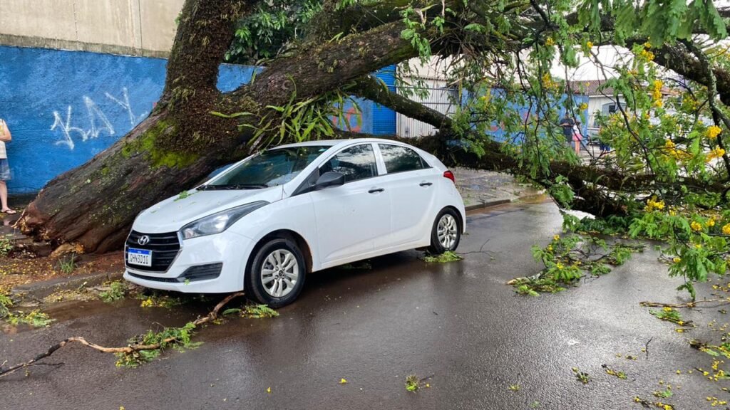 Carro atingido por árvore em Maringá