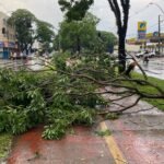 Forte tempestade causa destruição no Jardim Alvorada em Maringá