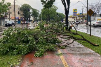 Forte tempestade causa destruição no Jardim Alvorada em Maringá